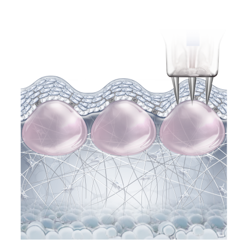 Beautif-EYE & Bio Nutri Neck